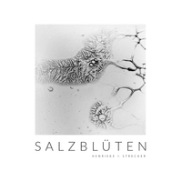 Vorderes Coverbild Salzblüten
