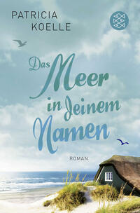 Vorderes Coverbild Das Meer in deinem Namen