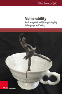 Vorderes Coverbild Vulnerability