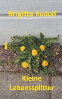 Vorderes Coverbild Kleine Lebenssplitter