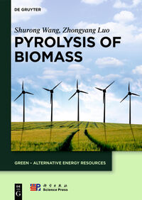 Vorderes Coverbild Pyrolysis of Biomass