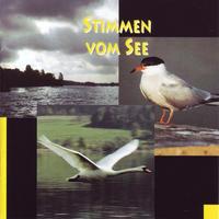 Vorderes Coverbild Stimmen vom See