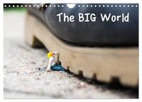 Vorderes Coverbild the BIG World (Wandkalender 2025 DIN A4 quer), CALVENDO Monatskalender