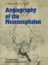Vorderes Coverbild Angiography of the Mesencephalon