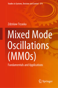 Vorderes Coverbild Mixed Mode Oscillations (MMOs)