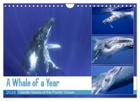 Vorderes Coverbild A Whale of a Year (Wall Calendar 2026 DIN A4 landscape), CALVENDO 12 Month Wall Calendar