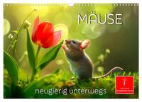 Vorderes Coverbild Mäuse - neugierig unterwegs (Wandkalender 2025 DIN A3 quer), CALVENDO Monatskalender