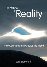 Vorderes Coverbild The Making of Reality