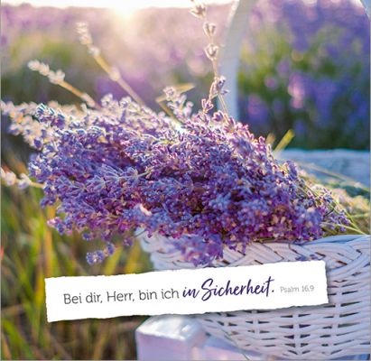Beispielinhalt (Bild) Alltagsglücklich - Aufstellbuch