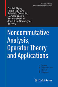 Vorderes Coverbild Noncommutative Analysis, Operator Theory and Applications