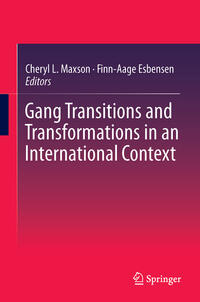 Vorderes Coverbild Gang Transitions and Transformations in an International Context