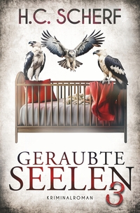 Vorderes Coverbild Geraubte Seelen 3