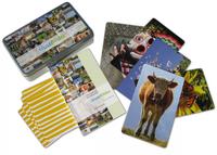 Vorderes Coverbild trustBilder
