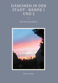 Vorderes Coverbild Dämonen in der Stadt - Bände 1 und 2