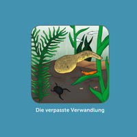 Vorderes Coverbild Die verpasste Verwandlung