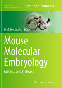 Vorderes Coverbild Mouse Molecular Embryology