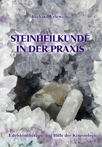 Vorderes Coverbild Steinheilkunde in der Praxis
