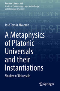 Vorderes Coverbild A Metaphysics of Platonic Universals and their Instantiations