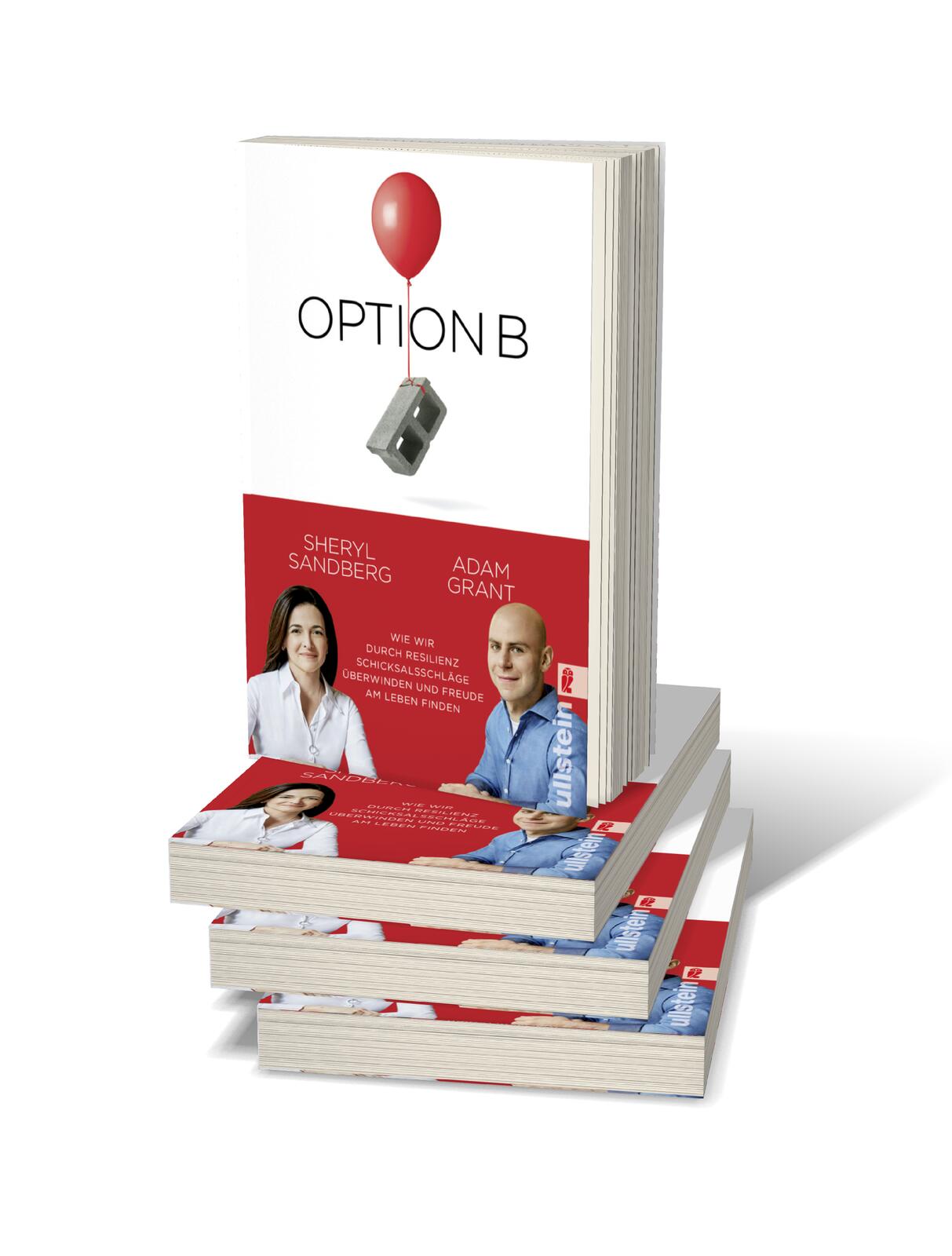 Beispielinhalt (Bild) Option B