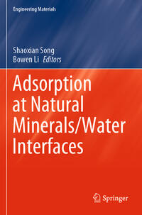 Vorderes Coverbild Adsorption at Natural Minerals/Water Interfaces