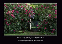 Vorderes Coverbild Frieden suchen, Frieden finden
