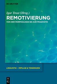 Vorderes Coverbild Remotivierung