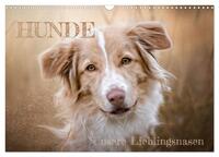Vorderes Coverbild Hunde - Unsere Lieblingsnasen (Wandkalender 2025 DIN A3 quer), CALVENDO Monatskalender