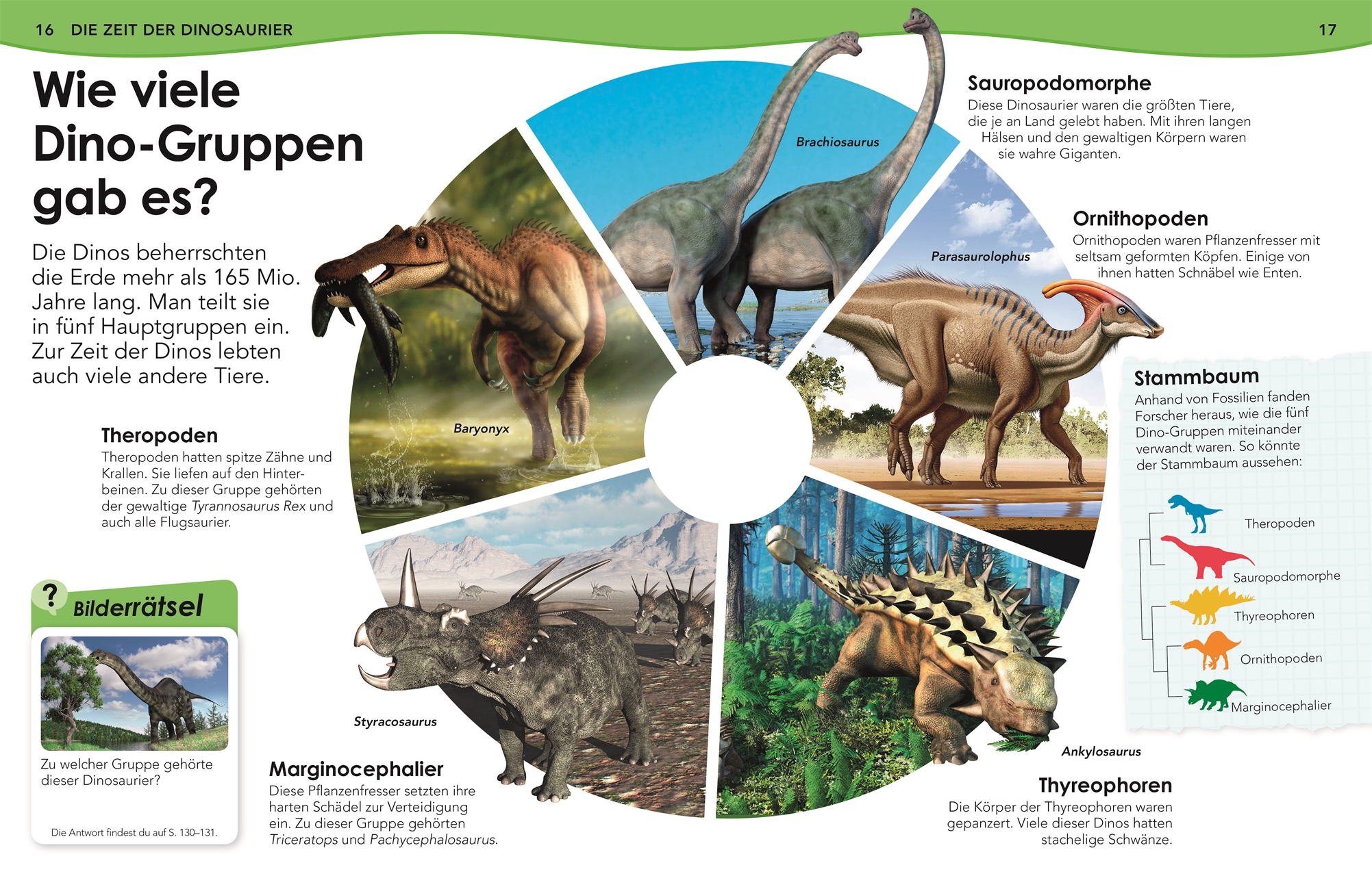 Beispielinhalt (Bild) Weshalb? Deshalb! Dinos