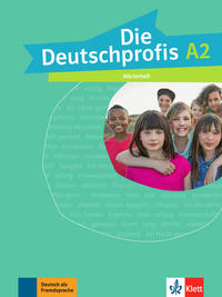 Vorderes Coverbild Die Deutschprofis A2