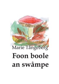 Vorderes Coverbild Foon boole än swåmpe