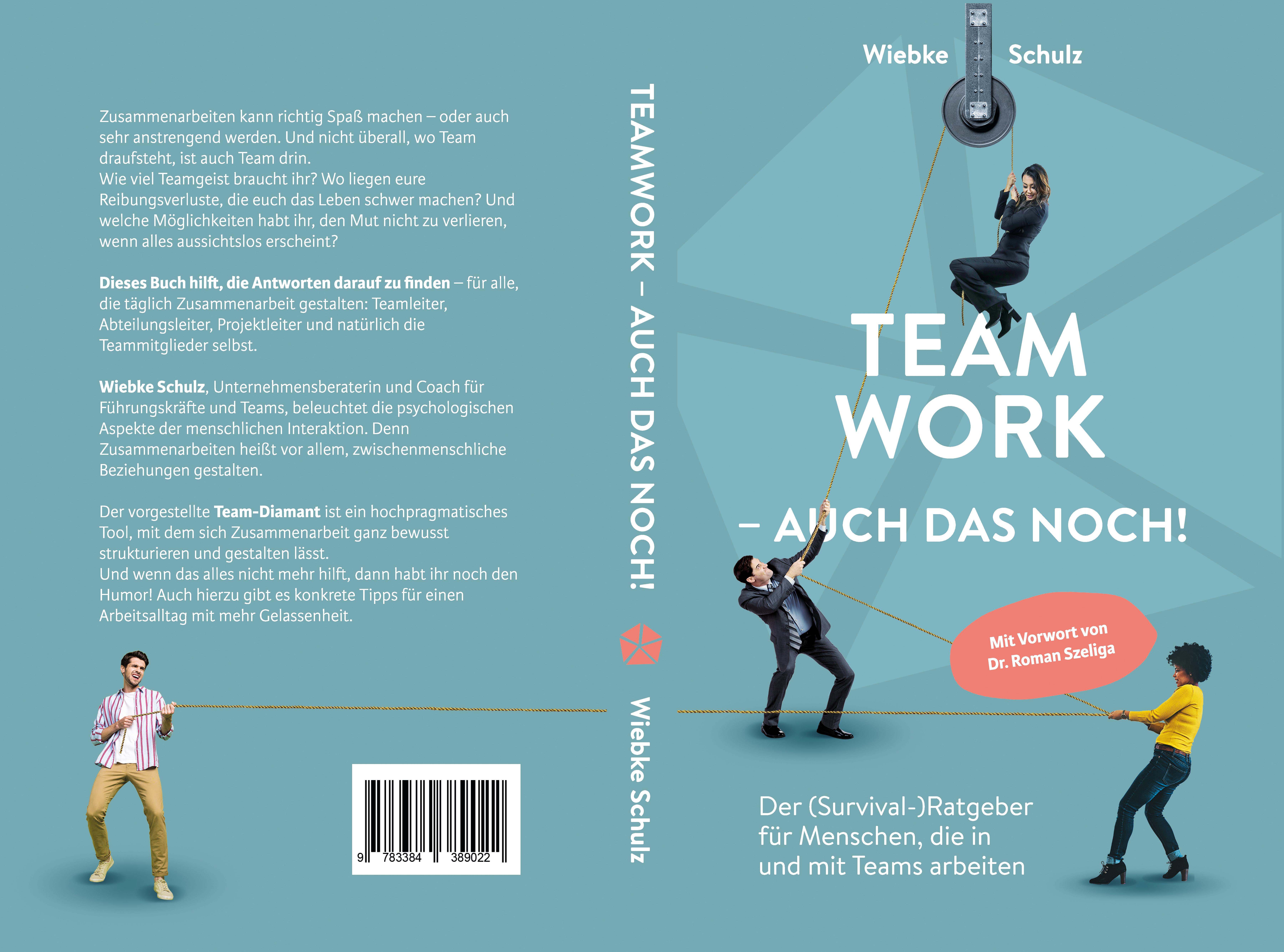 Gesamtes Coverbild Teamwork – auch das noch!