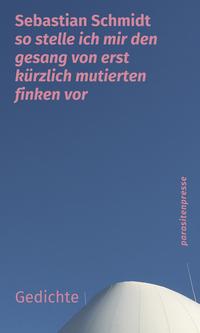 Vorderes Coverbild so stelle ich mir den gesang von erst kürzlich mutierten finken vor