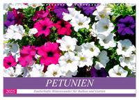 Vorderes Coverbild Petunien. Zauberhafte Blütenwunder für Balkon und Garten (Wandkalender 2025 DIN A3 quer), CALVENDO Monatskalender