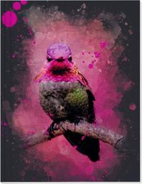 Vorderes Coverbild Vögel auf Instagram Großes Notizheft Motiv Rosa Annakolibri