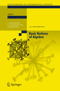 Vorderes Coverbild Basic Notions of Algebra