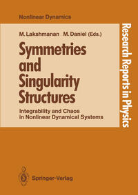 Vorderes Coverbild Symmetries and Singularity Structures