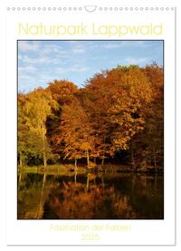 Vorderes Coverbild Faszination der Farben im Naturpark Lappwald (Wandkalender 2025 DIN A3 hoch), CALVENDO Monatskalender
