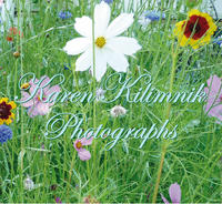 Vorderes Coverbild Photographs