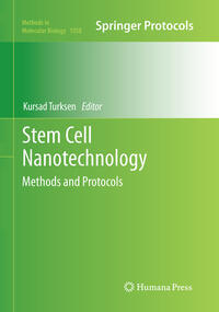 Vorderes Coverbild Stem Cell Nanotechnology