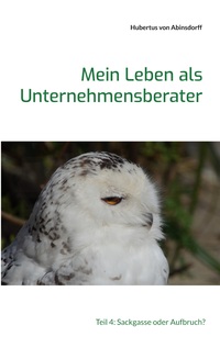 Vorderes Coverbild Mein Leben als Unternehmensberater