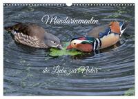 Vorderes Coverbild Mandarinenenten, die Liebe zur Natur (Wandkalender 2026 DIN A3 quer), CALVENDO Monatskalender