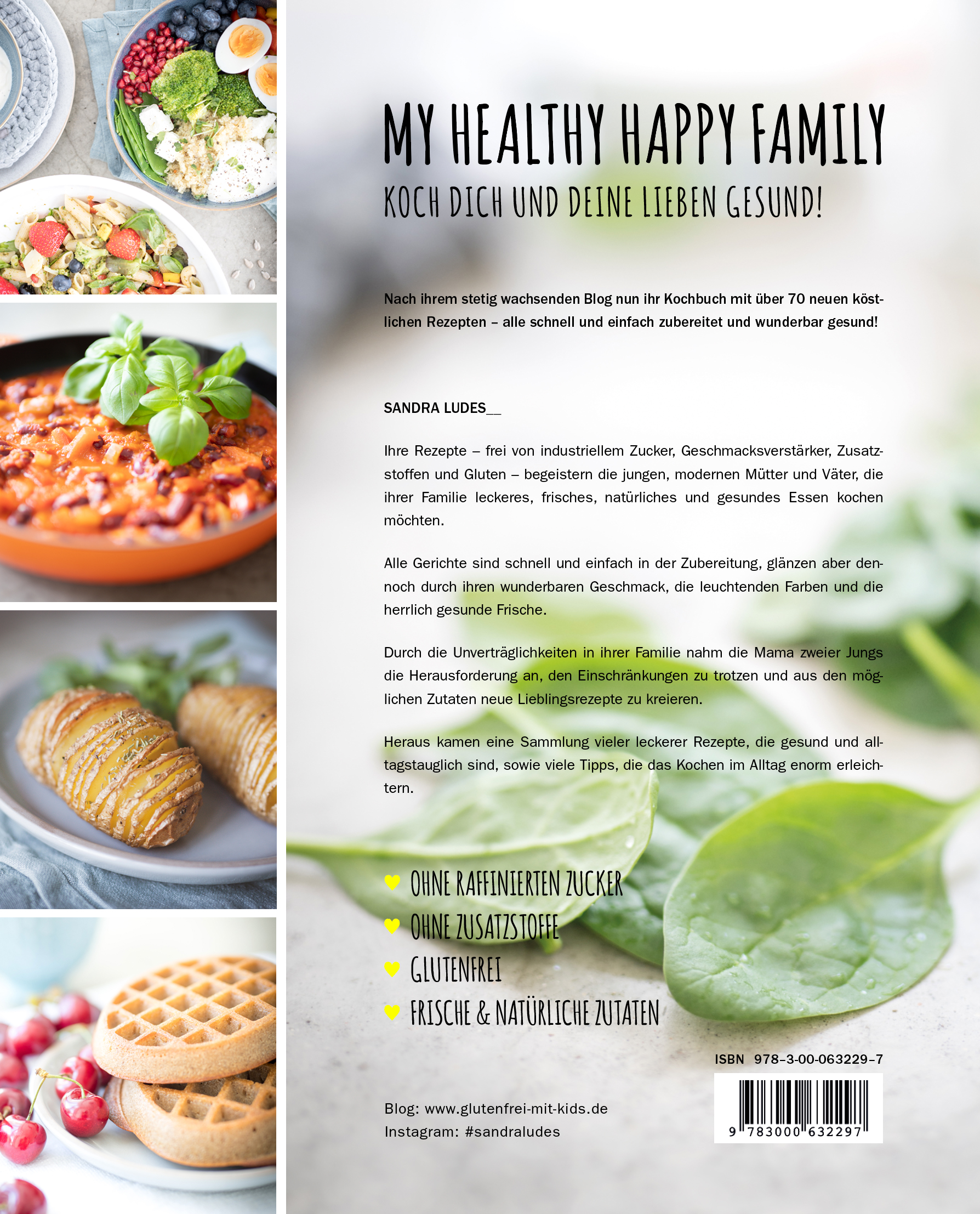 Rückseitencover My healthy happy family