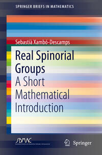 Vorderes Coverbild Real Spinorial Groups