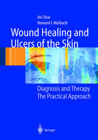 Vorderes Coverbild Wound Healing and Ulcers of the Skin