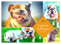 Vorderes Coverbild Dicke Freunde. Englische Bulldoggen (Wandkalender 2025 DIN A4 quer), CALVENDO Monatskalender