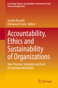 Vorderes Coverbild Accountability, Ethics and Sustainability of Organizations