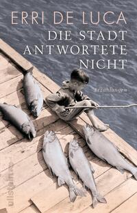 Vorderes Coverbild Die Stadt antwortete nicht