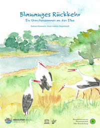 Vorderes Coverbild Blauauges Rückkehr