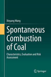Vorderes Coverbild Spontaneous Combustion of Coal