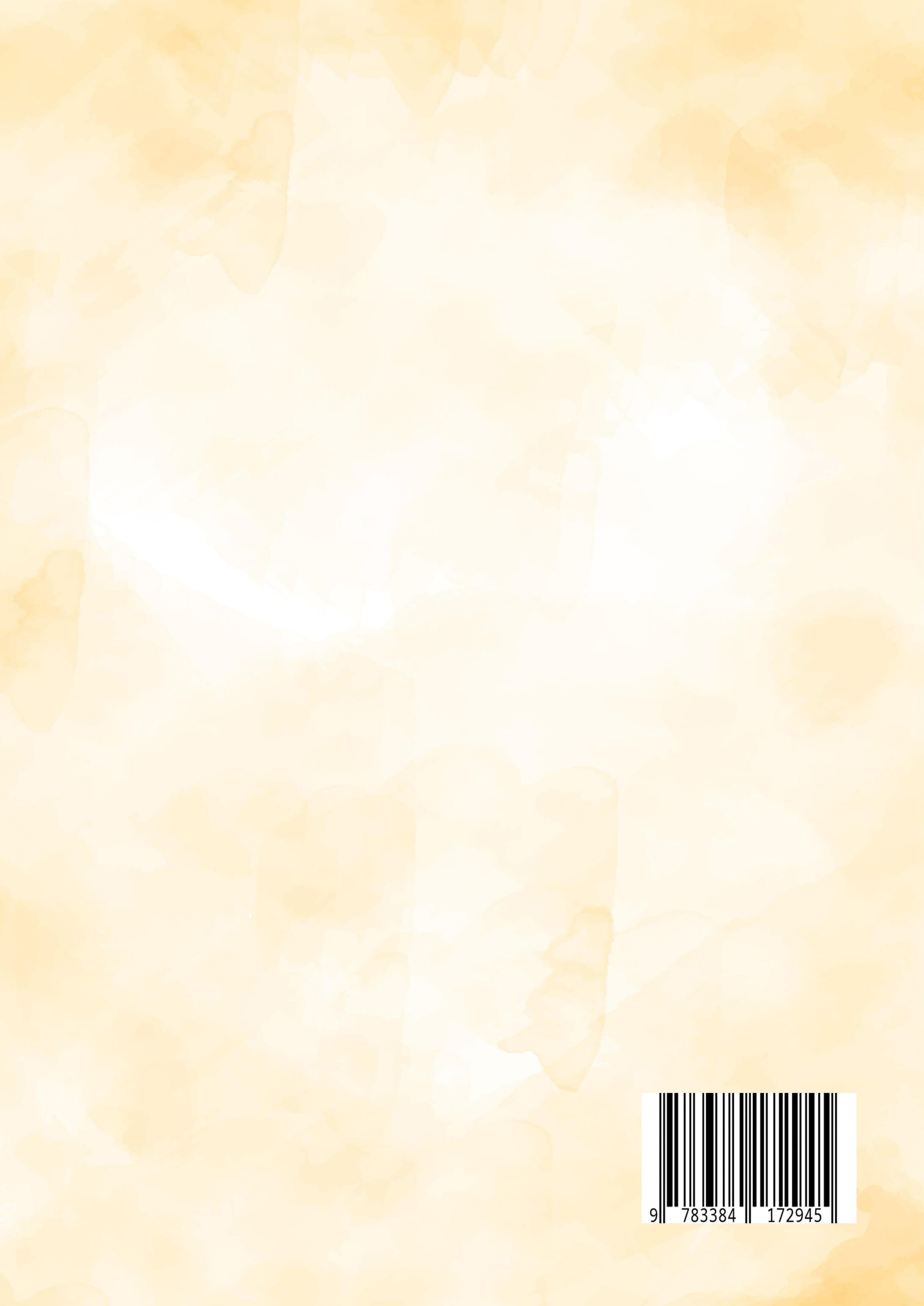 Rückseitencover XXL Heißluftfritteuse Backbuch